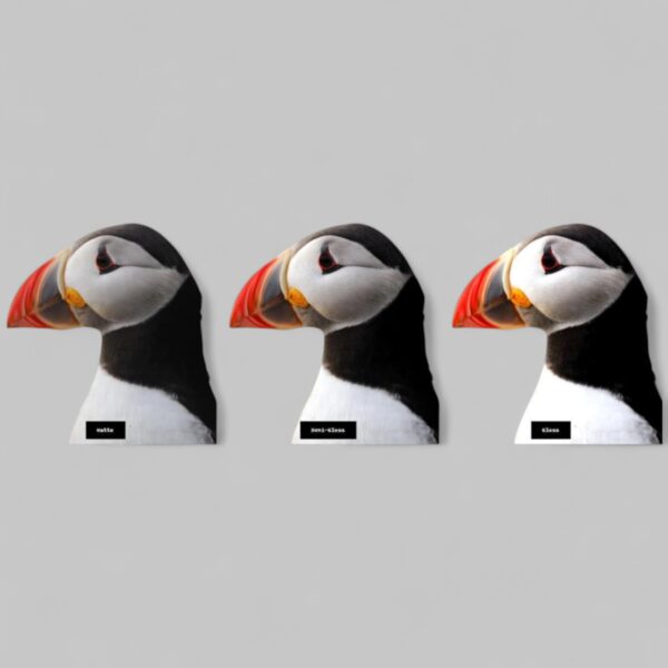 Εκτυπώσεις Φωτογραφιών