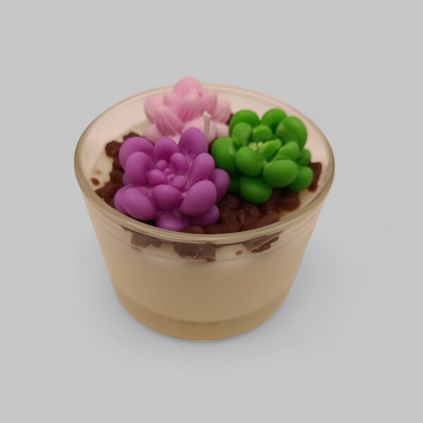 Παχύφυτα Νο2