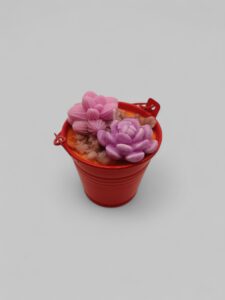 Τσίγκινο Γλαστράκι Παχύφυτα