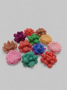 Παχύφυτα 12 τεμάχια