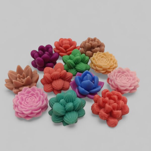 Παχύφυτα 12 τεμάχια